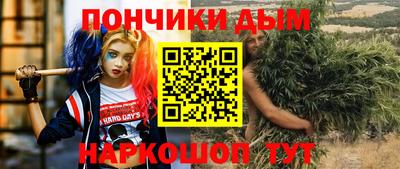 дурь Сланцы