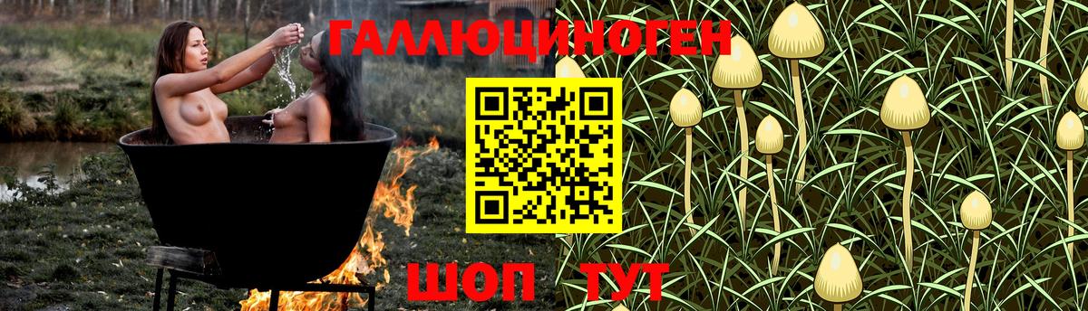 Петропавловск-Камчатский  Галлюциногенные грибы мухоморы  Псилоцибиновые грибы Magic Shrooms  Вход с VPN 