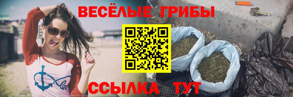 Мефедрон кристаллы  Экстази  Марихуана  Как найти закладки?  Гашиш  Гашиш  Петропавловск-Камчатский  Вход с VPN 